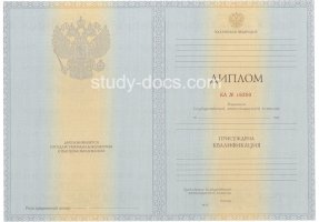 Диплом специалиста 2012-2013 в Таганроге